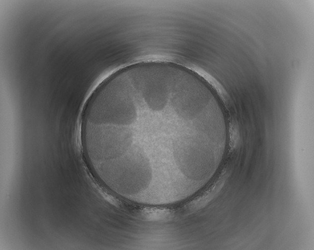 X0000111120886200908111017