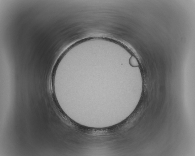 X0000111120887200908111017