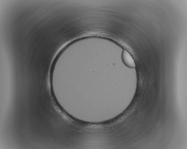 X0000111120888200908111017