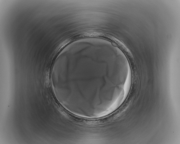 X0000111120889200908111017