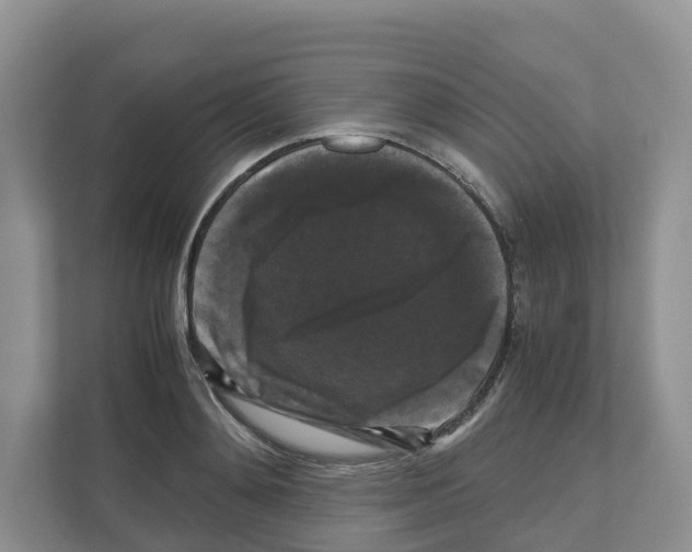 X0000111120892200908111017