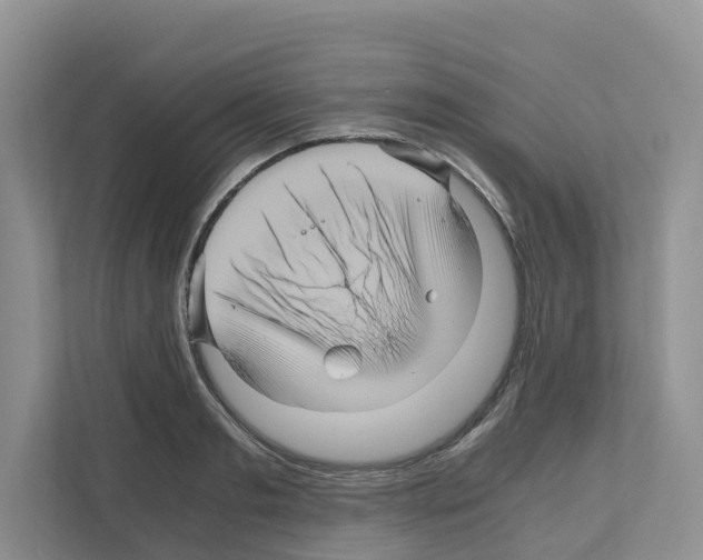 X0000111120893200908111017