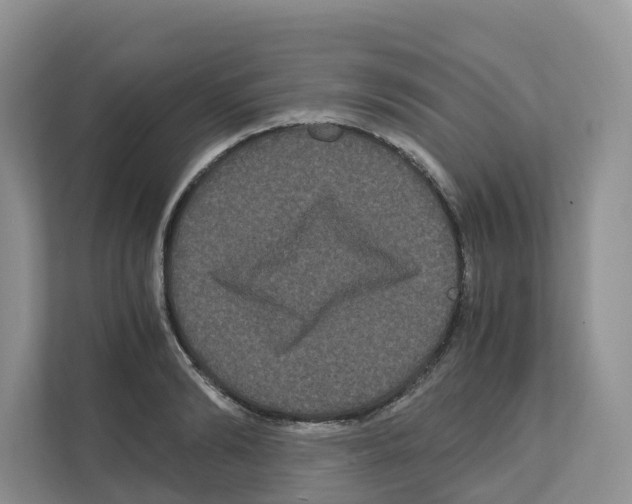 X0000111120894200908111017