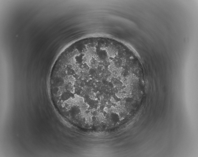 X0000111120895200908111016