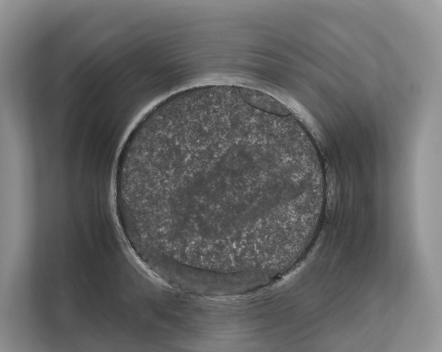 X0000111120896200908111016