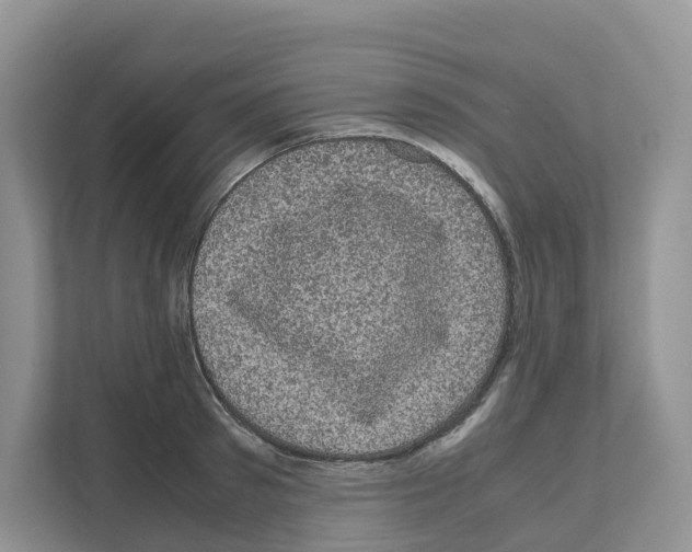 X0000111120897200908111016