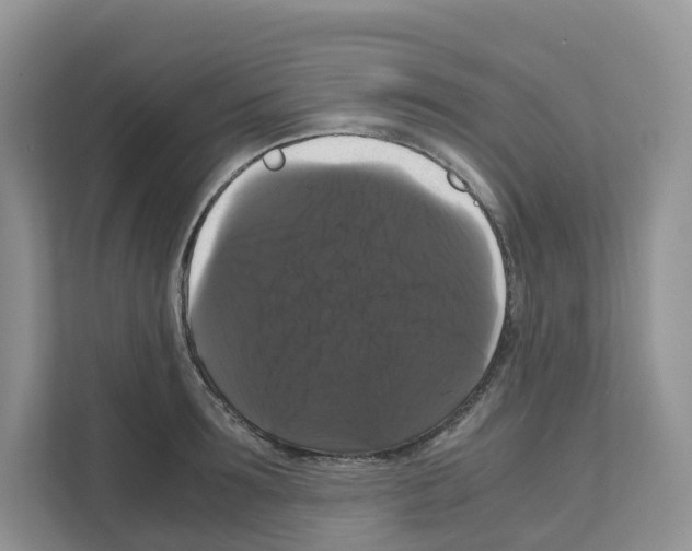 X0000111120899200908111016