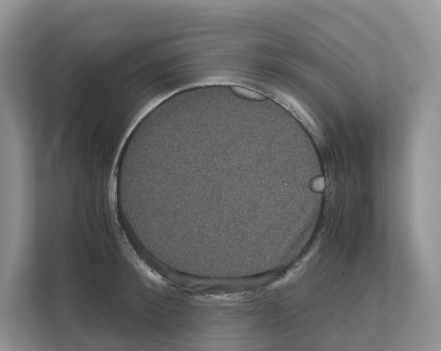 X0000111120900200908111016