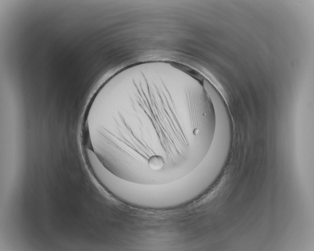 X0000111120901200908111016