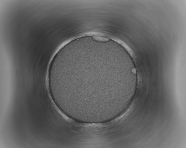 X0000111120902200908111016