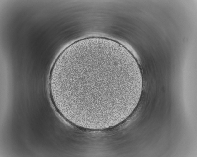 X0000111120903200908111016