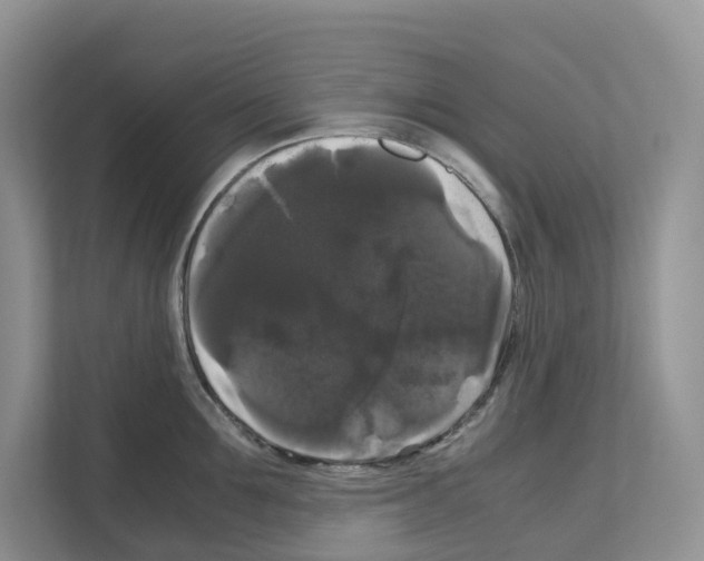 X0000111120907200908111016