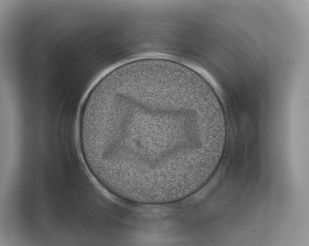 X0000111120910200908111016