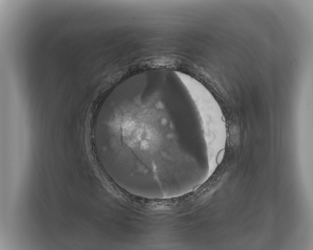 X0000111120913200908111016