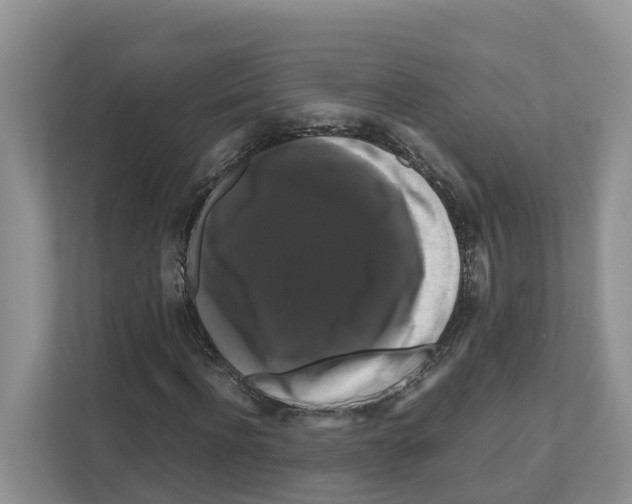 X0000111120916200908111016