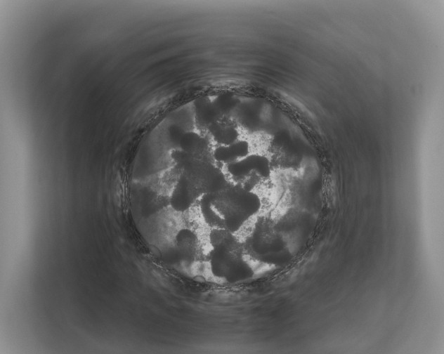 X0000111120917200908111016