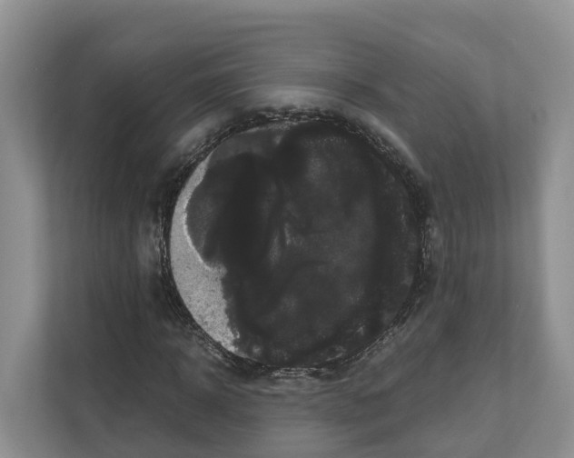 X0000111120918200908111016