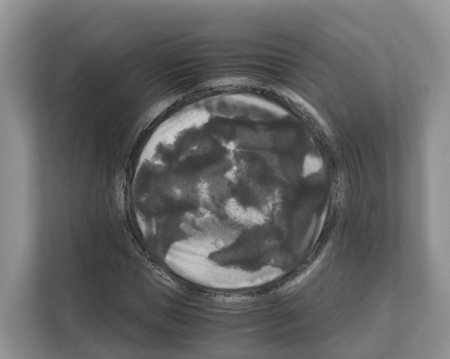 X0000111120921200908111016