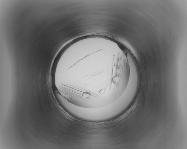 X0000111120924200908111016