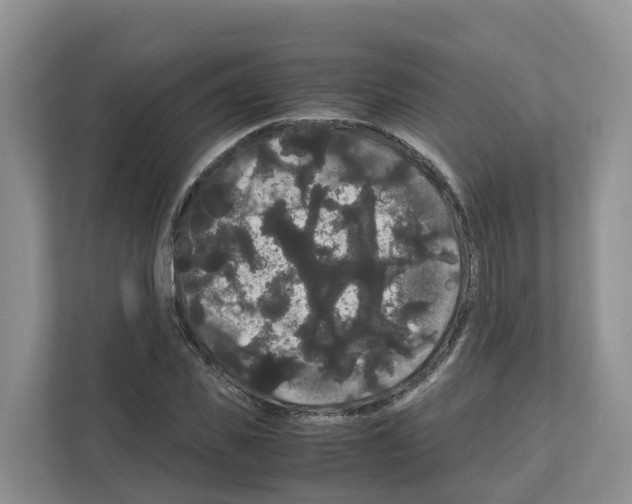 X0000111120925200908111016