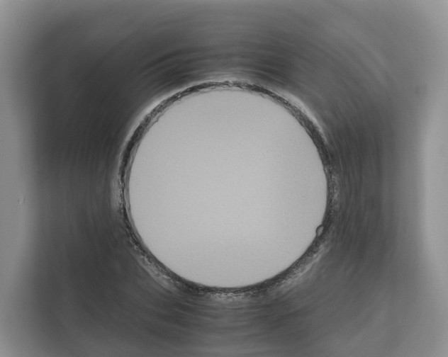 X0000111120927200908111016