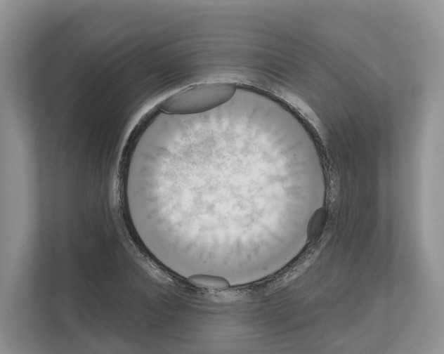 X0000111120928200908111016