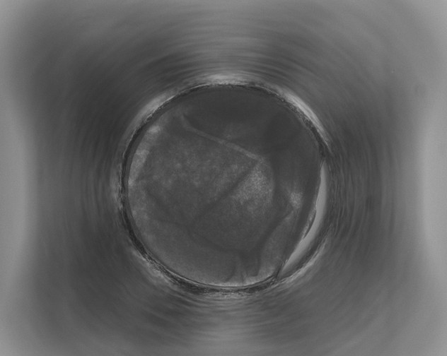 X0000111120930200908111016