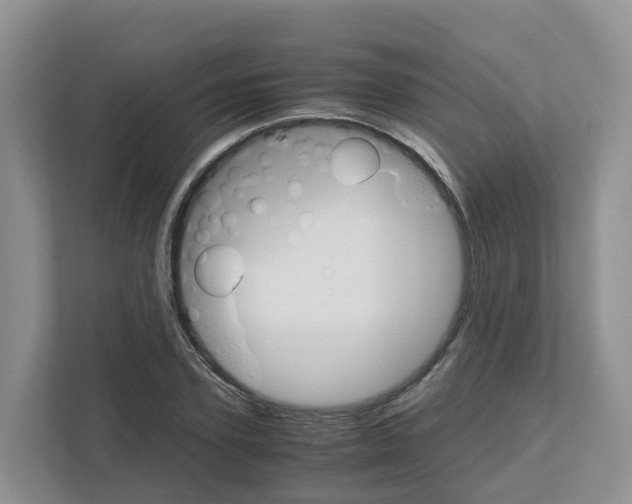 X0000111120931200908111016