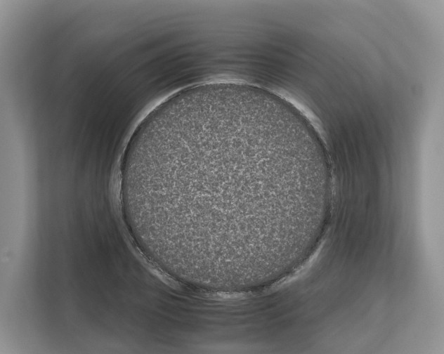 X0000111120933200908111016