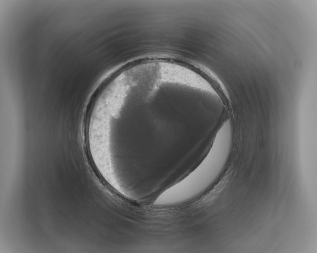 X0000111120935200908111016