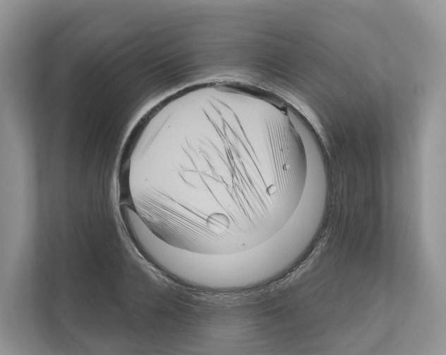 X0000111120936200908111016