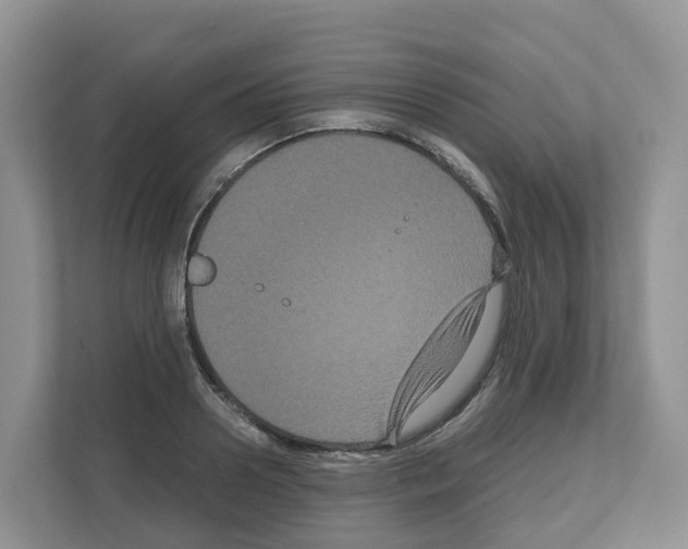 X0000111120938200908111016