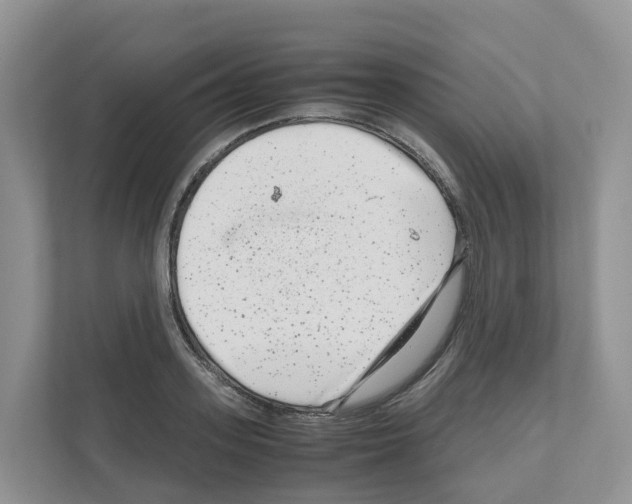 X0000111120939200908111016