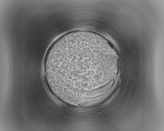 X0000111120940200908111016