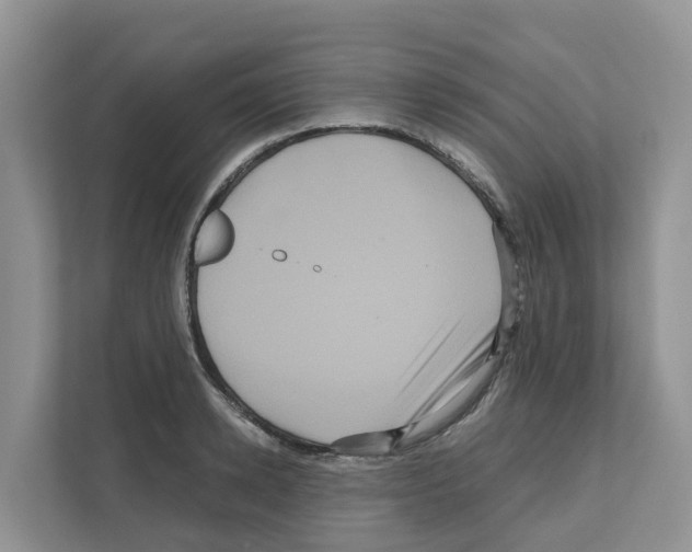 X0000111120942200908111016