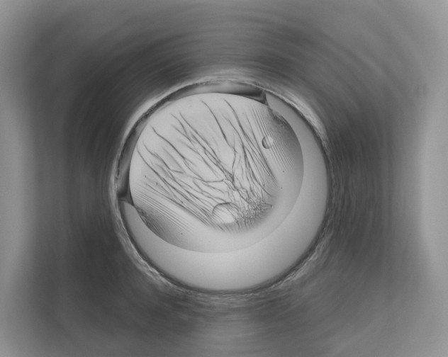 X0000111120944200908111016