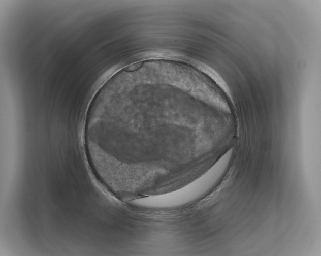 X0000111120946200908111016