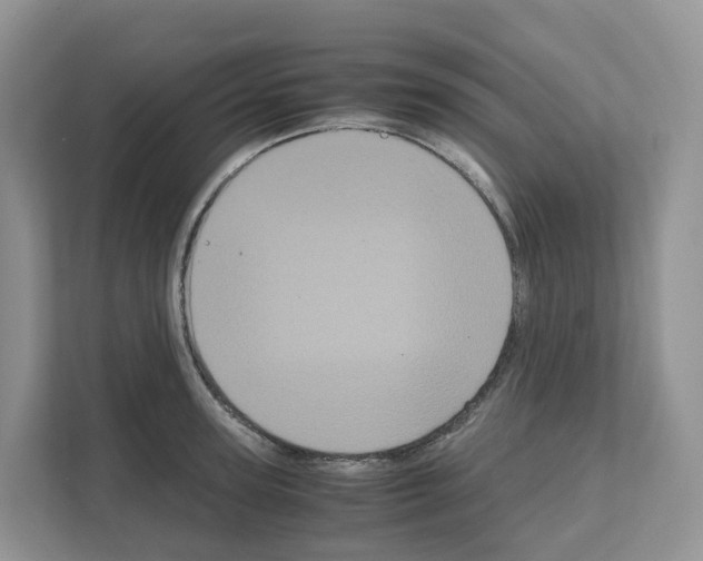 X0000111120947200908111016