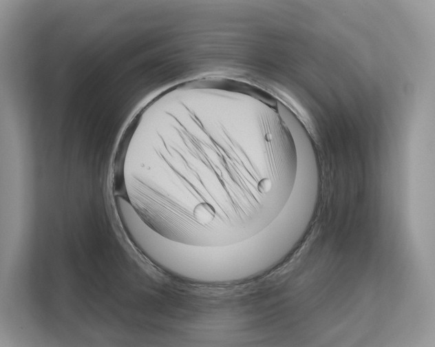 X0000111120948200908111016