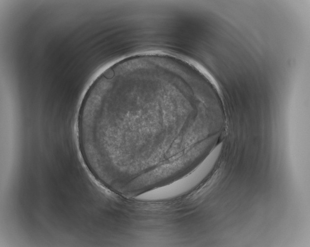 X0000111120951200908111016