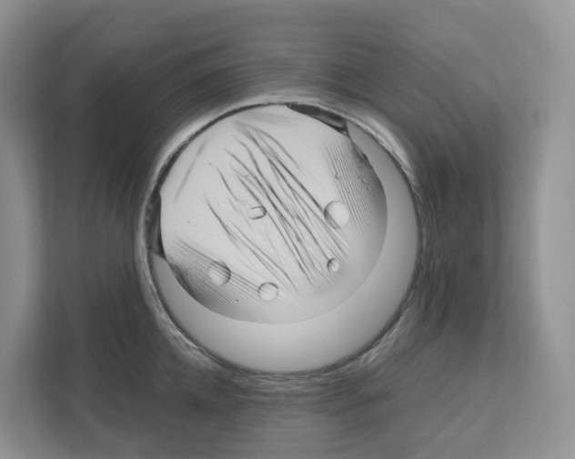 X0000111120952200908111016