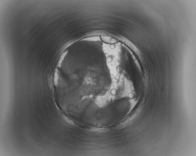 X0000111120953200908111016