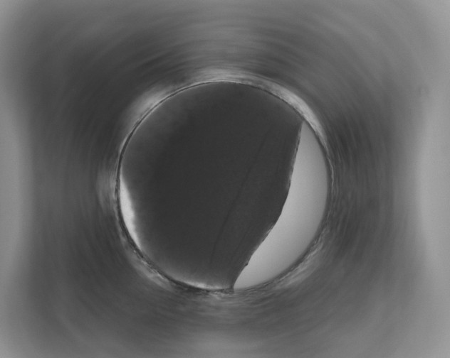 X0000111120954200908111016