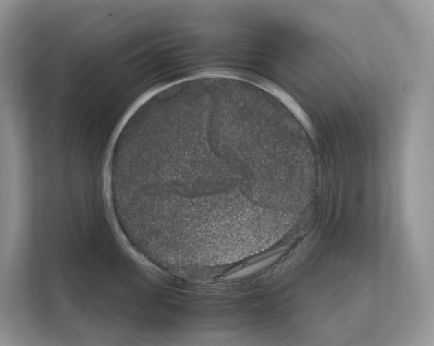 X0000111120955200908111016