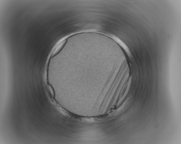 X0000111120956200908111016