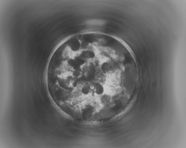 X0000111120957200908111016