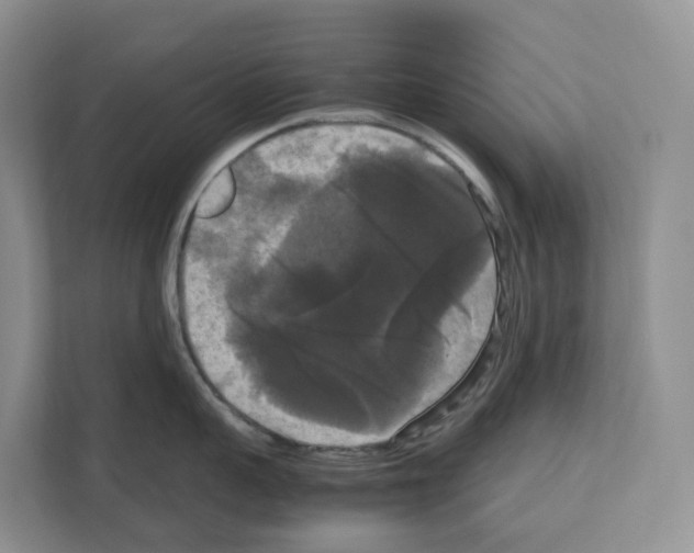 X0000111120959200908111016