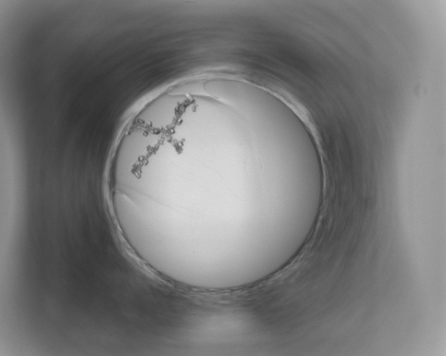 X0000111120960200908111016