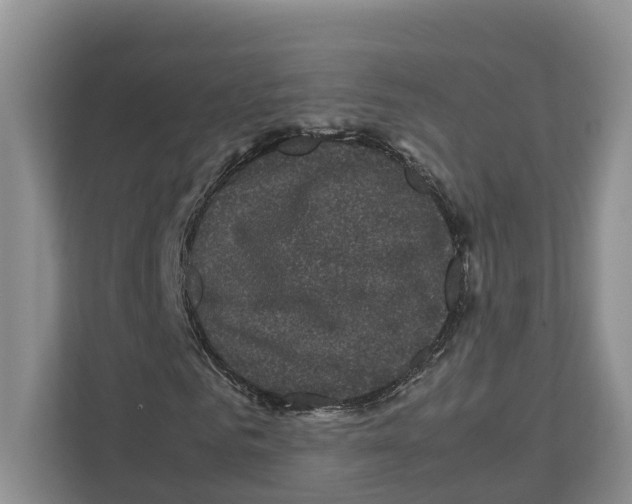X0000111120961200908111016