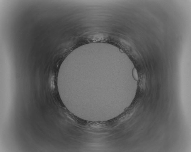 X0000111120962200908111016